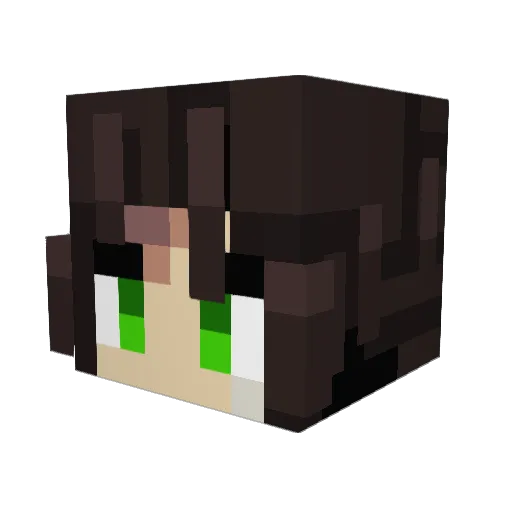 Sashlbaschl Minecraft avatar head, 3D render