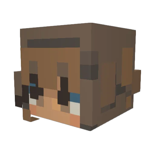 Sasi2021 Minecraft avatar head, 3D render