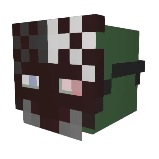 Sasik311 Minecraft avatar head, 3D render