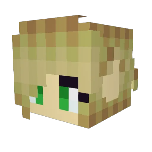 Sasjulias Minecraft avatar head, 3D render