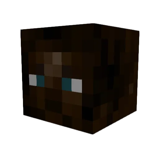 Sasland Minecraft avatar head, 3D render