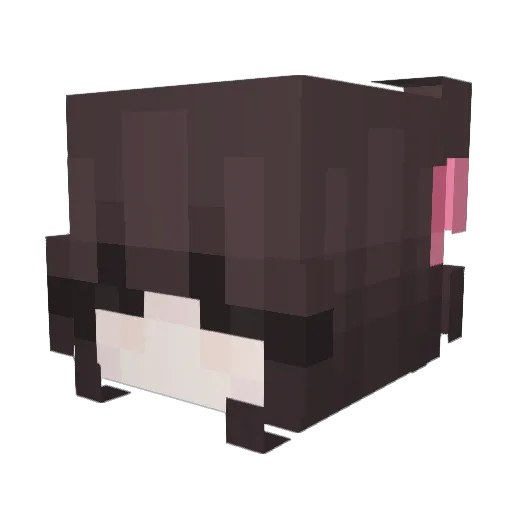 SassberrySnap Minecraft avatar head, 3D render