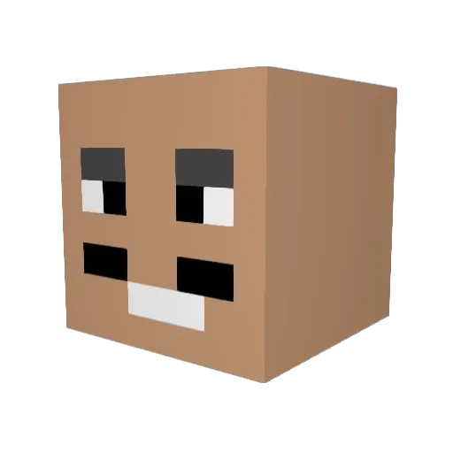 Sassdio Minecraft avatar head, 3D render