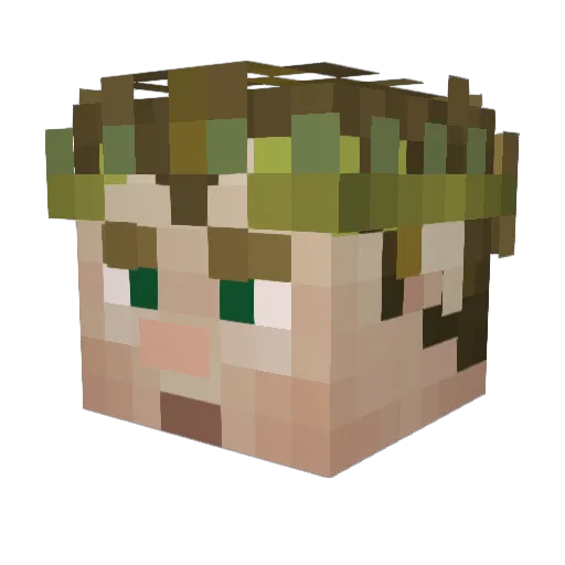 Sasser2004 Minecraft avatar head, 3D render