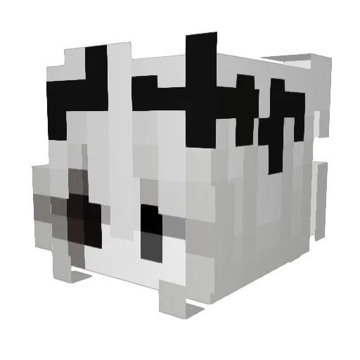 Sassiiee Minecraft avatar head, 3D render