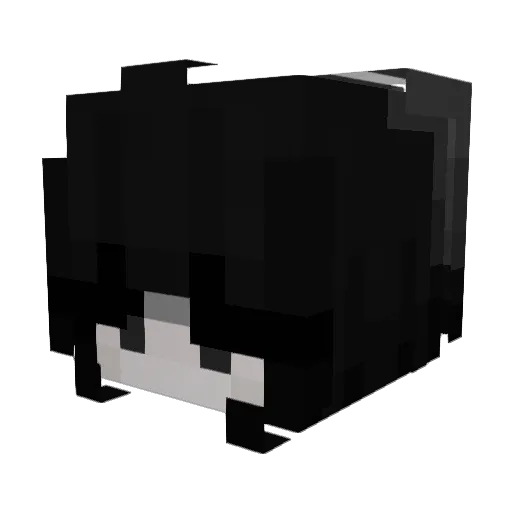 Sassmastah Minecraft avatar head, 3D render