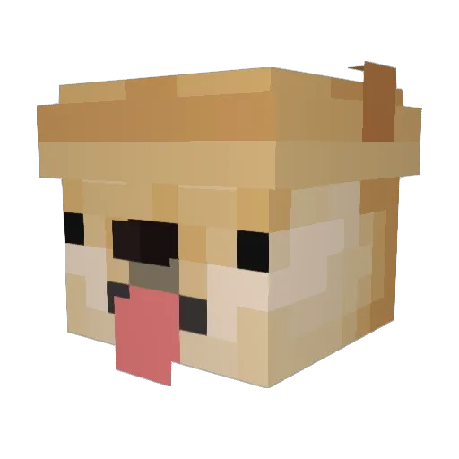 Sassn Minecraft avatar head, 3D render