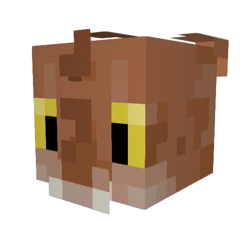 Sassums Minecraft avatar head, 3D render