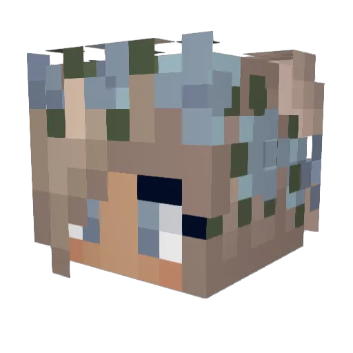 Sassy1808 Minecraft avatar head, 3D render