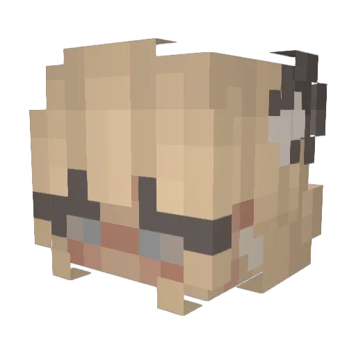 SassyErii Minecraft avatar head, 3D render
