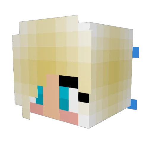 SassyPants1227 Minecraft avatar head, 3D render