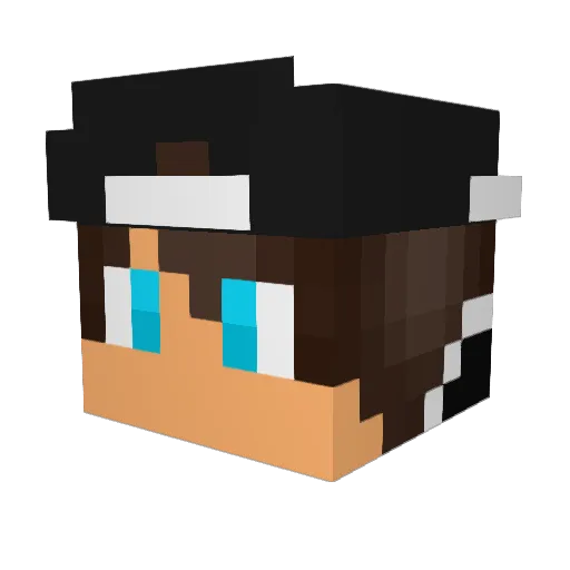 SassyWalrus Minecraft avatar head, 3D render