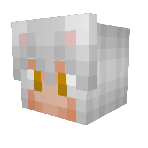 Sassyemily4 Minecraft avatar head, 3D render