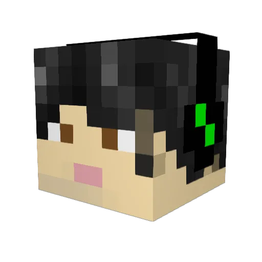 Sassyfrassy Minecraft avatar head, 3D render
