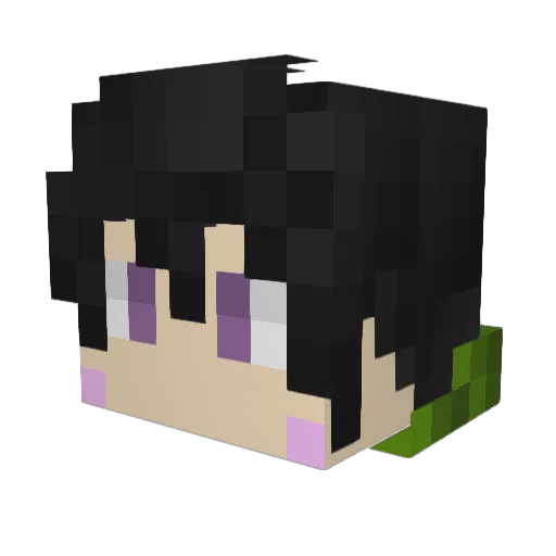 Sasuke81695 Minecraft avatar head, 3D render