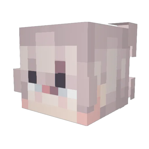 Sasvang Minecraft avatar head, 3D render
