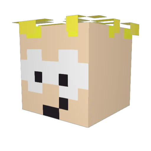 SasyMufn Minecraft avatar head, 3D render