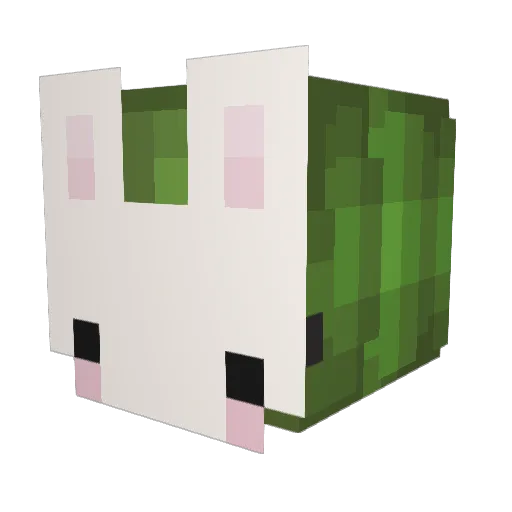 SatamicFroggo Minecraft avatar head, 3D render