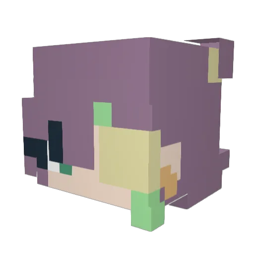 SatayChicken24 Minecraft avatar head, 3D render