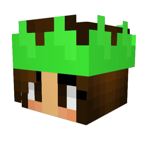Satchyko Minecraft avatar head, 3D render