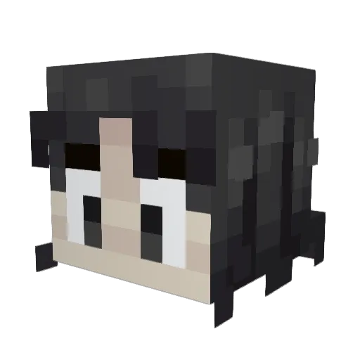 Sateasce Minecraft avatar head, 3D render