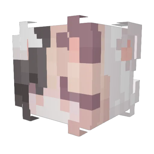 Satella096 Minecraft avatar head, 3D render