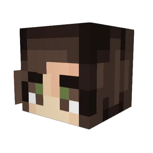 SatelliteSloths Minecraft avatar head, 3D render