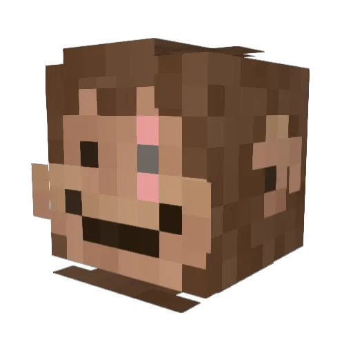 Sathu24 Minecraft avatar head, 3D render