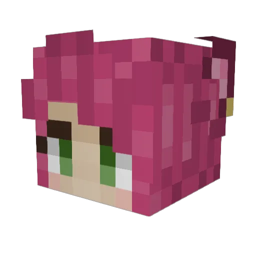 SatinLeader00 Minecraft avatar head, 3D render