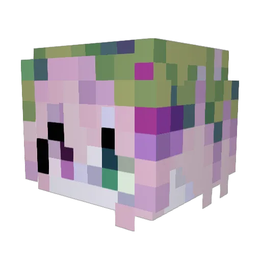 Satocake Minecraft avatar head, 3D render