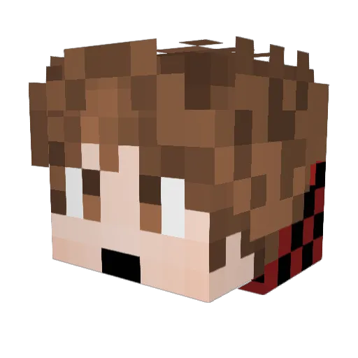 Satoshi_exe Minecraft avatar head, 3D render