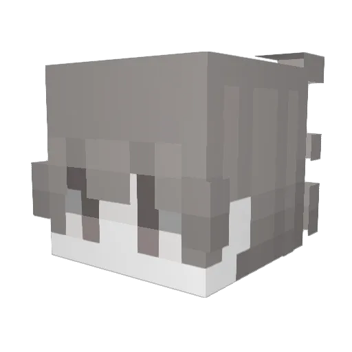 Satsumaagedayo Minecraft avatar head, 3D render