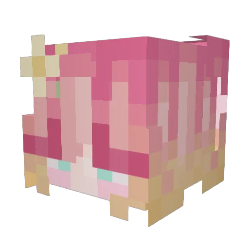 SaturnBW Minecraft avatar head, 3D render