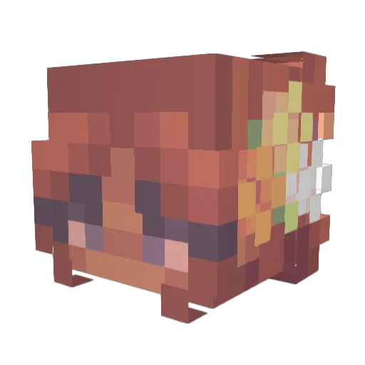 SaturnEclipse69 Minecraft avatar head, 3D render