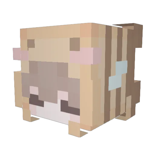 SaturnSage Minecraft avatar head, 3D render