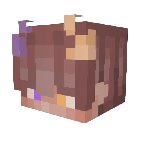SaturnX_YT Minecraft avatar head, 3D render