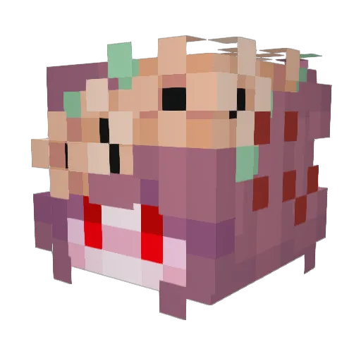 Saturn_NightShad Minecraft avatar head, 3D render