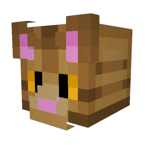 Saturnzbars Minecraft avatar head, 3D render