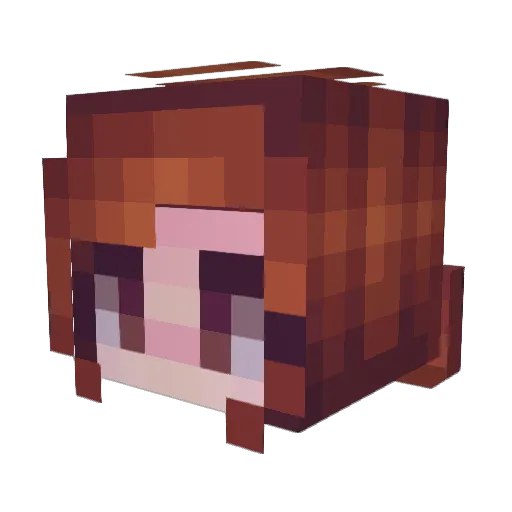 SaucaySpagettii Minecraft avatar head, 3D render