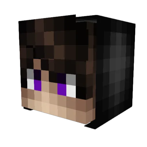 SauceFlinger Minecraft avatar head, 3D render