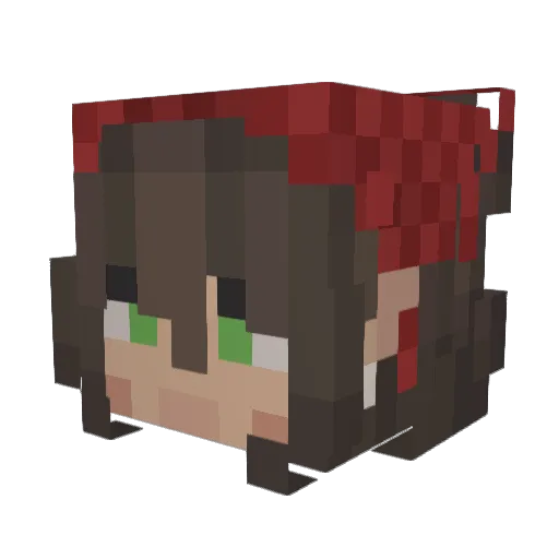 SaucePacketOG Minecraft avatar head, 3D render
