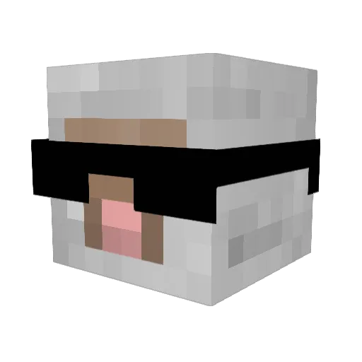 Sauce_Deliverer Minecraft avatar head, 3D render