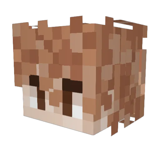 Sauceuke Minecraft avatar head, 3D render