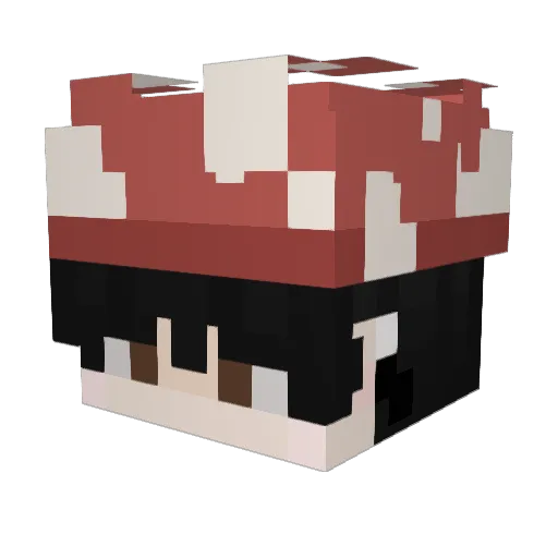 SaucierBubble90 Minecraft avatar head, 3D render