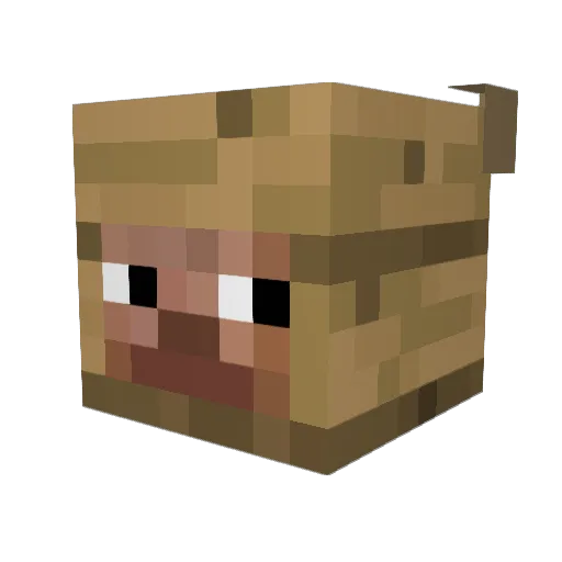 Saucony67 Minecraft avatar head, 3D render