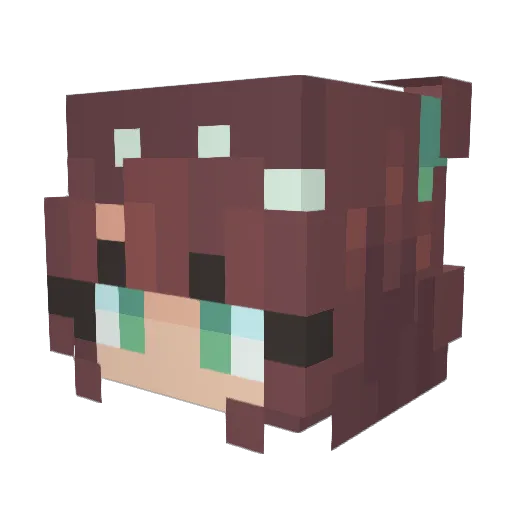 SaucyEggroll Minecraft avatar head, 3D render