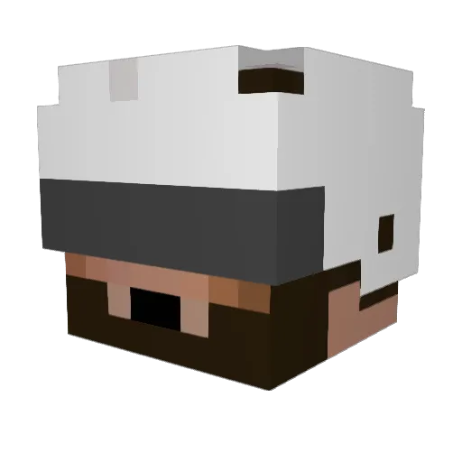 SaucySoll Minecraft avatar head, 3D render