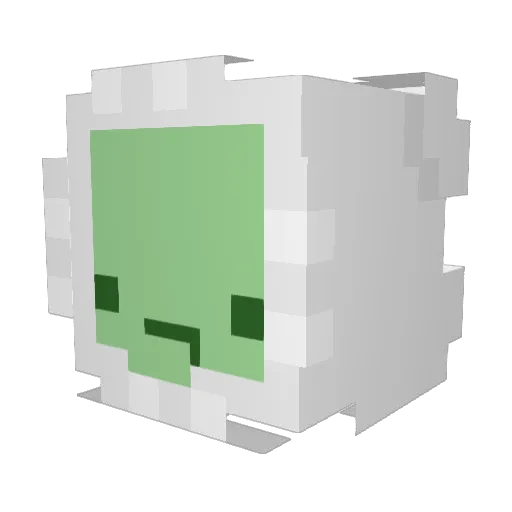 Saucy_SN Minecraft avatar head, 3D render
