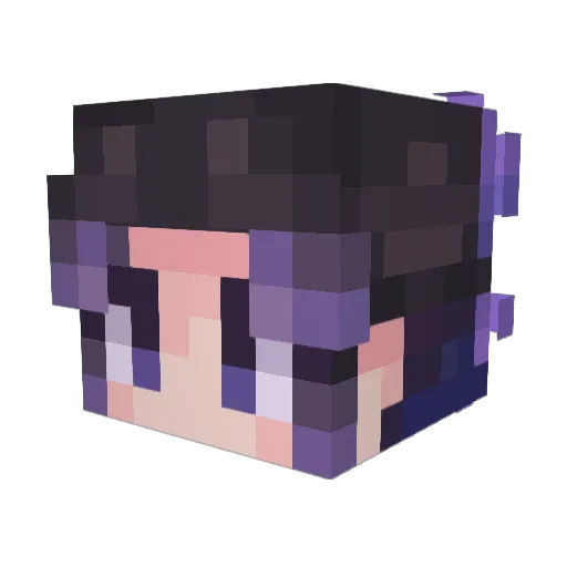 Saucywalnuts97 Minecraft avatar head, 3D render