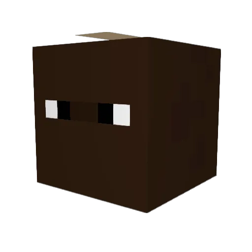 SaudiWithAGen5 Minecraft avatar head, 3D render